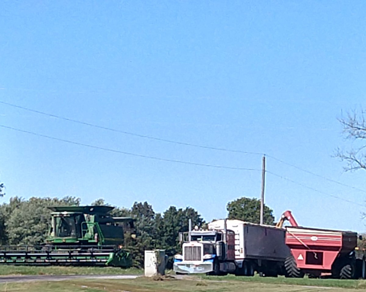 IMG_20211018_135020845_HDR~2.jpg