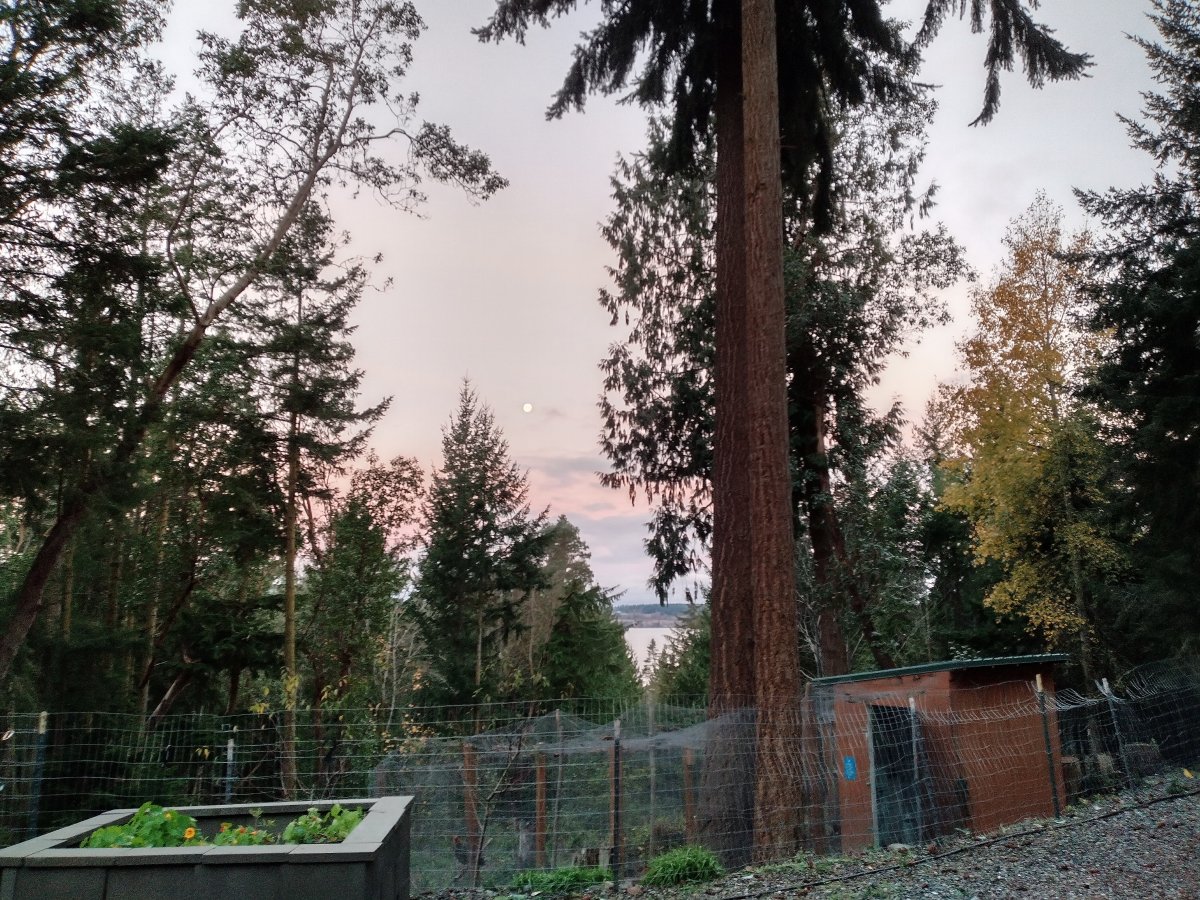 IMG_20211120_072208_HDR.jpg