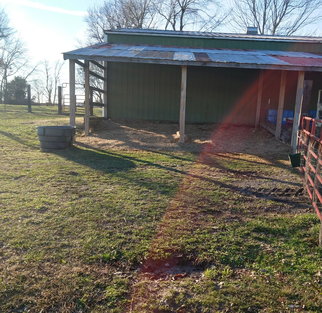 IMG_20211212_151500662_HDR~2.jpg