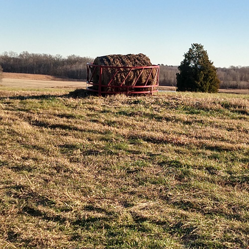 IMG_20211212_151515673_HDR.jpg