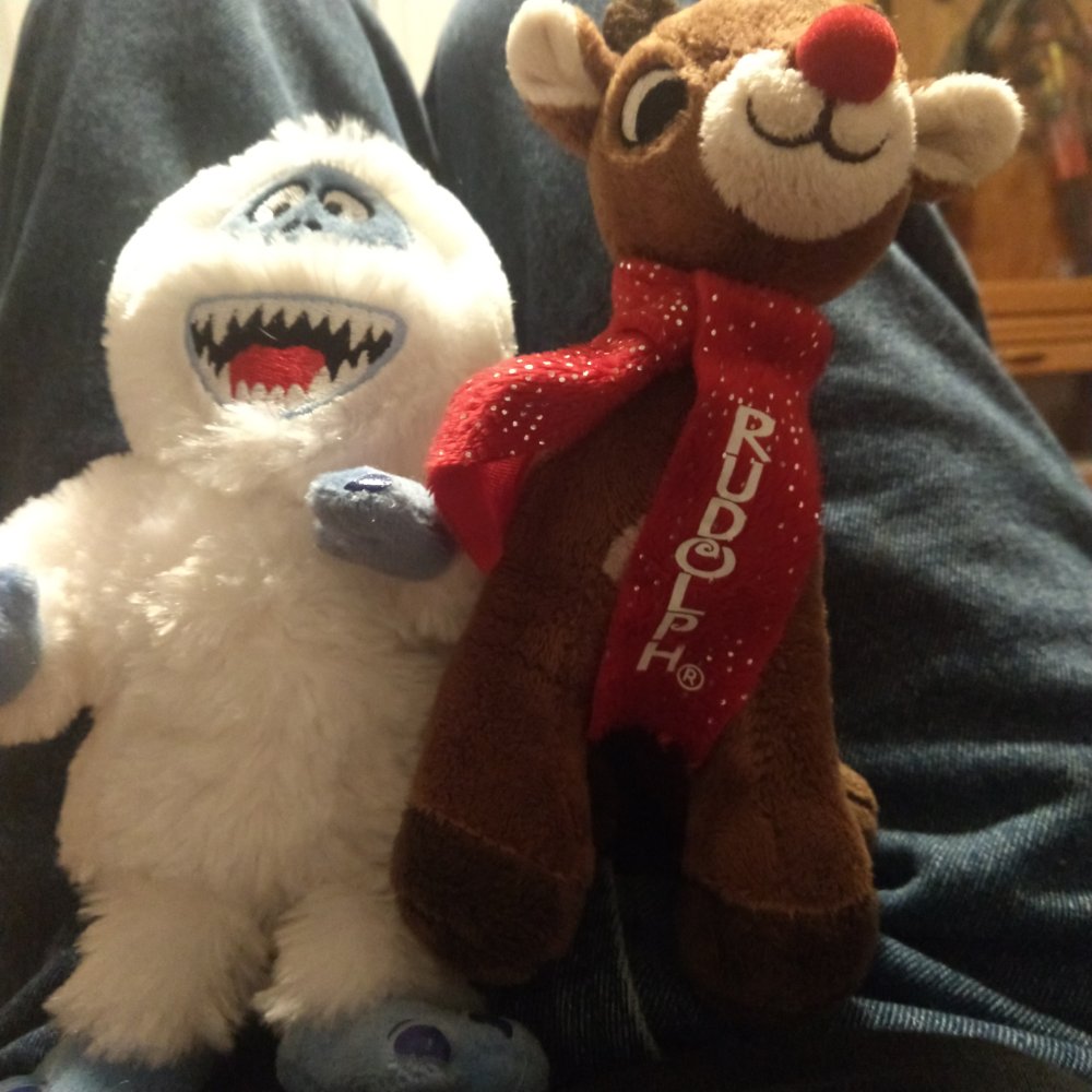 IMG_20211230_192341511.jpg