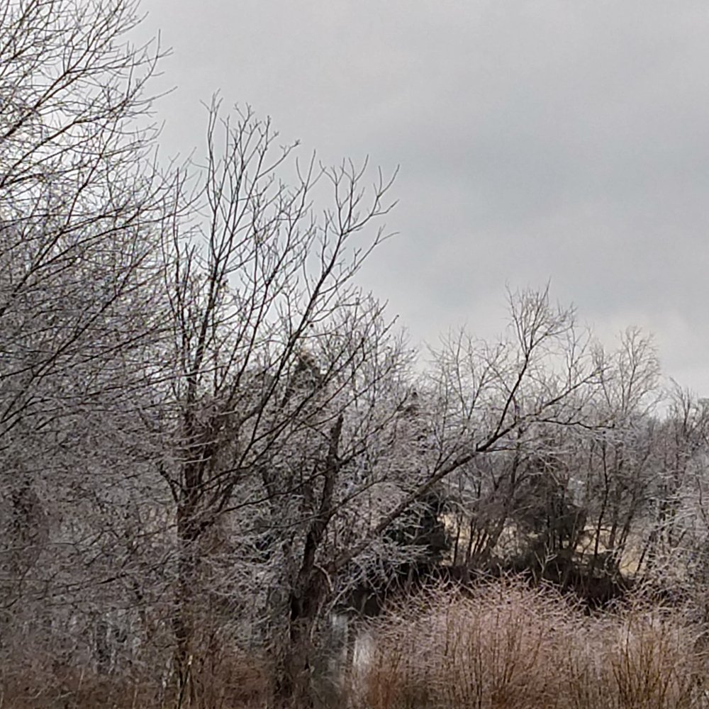 IMG_20220225_114831649_HDR.jpg