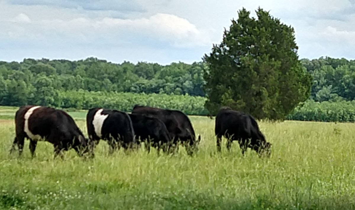 IMG_20220602_161519896_HDR~2.jpg