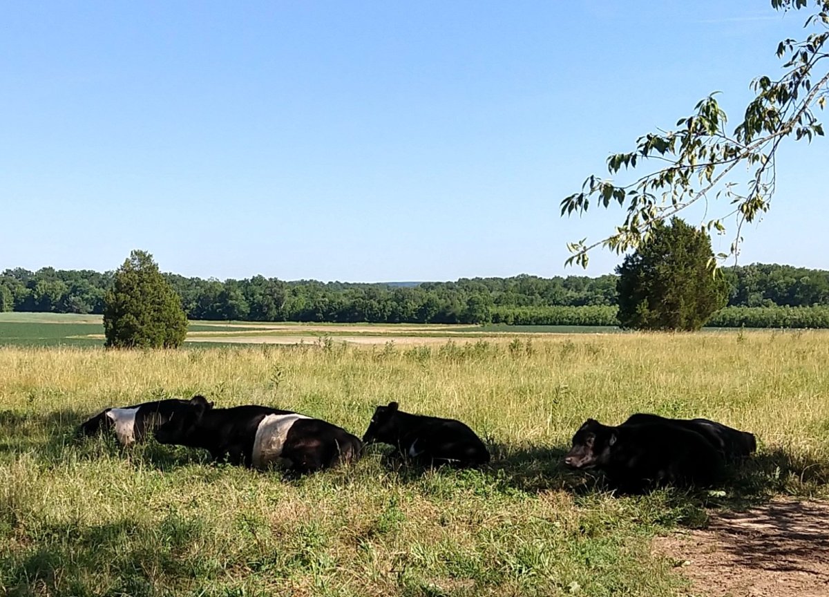 IMG_20220618_165505140_HDR~3.jpg