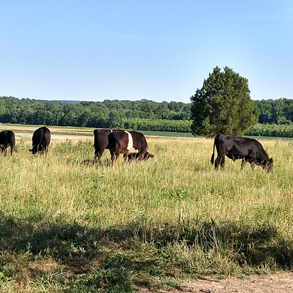 IMG_20220618_173558520_HDR.jpg
