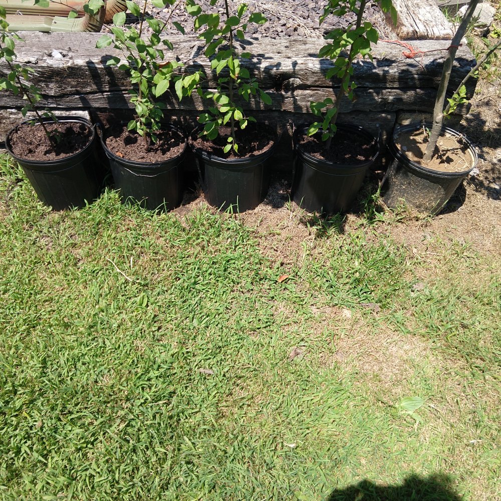 IMG_20220714_115117093.jpg