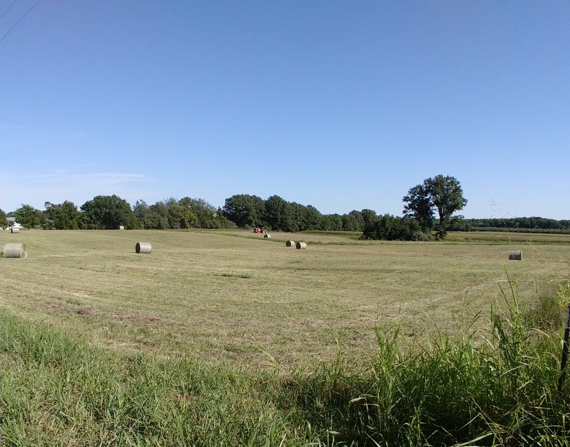 IMG_20220813_165055931~3.jpg