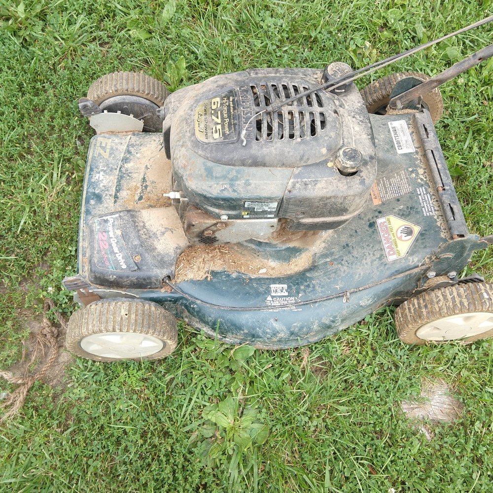 IMG_20230731_170101862.jpg