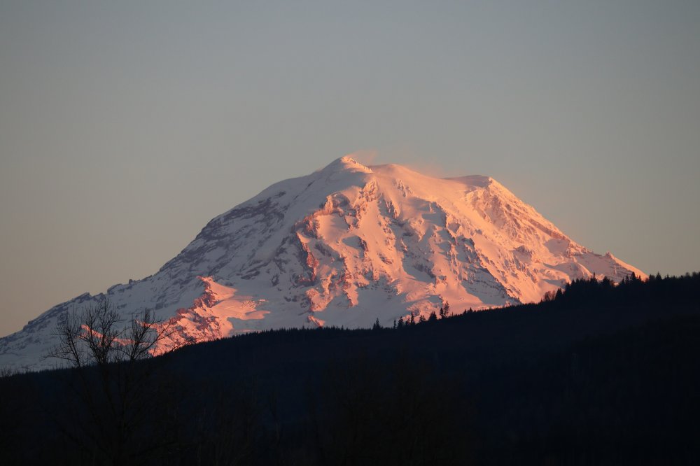 IMG_2364.jpg