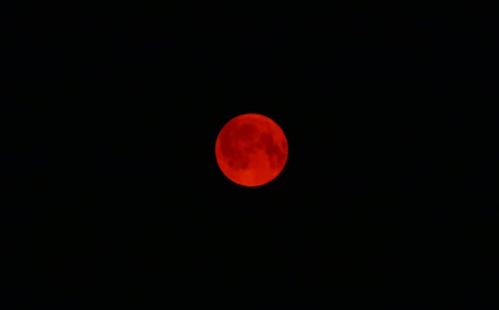 IMG_3655.jpg