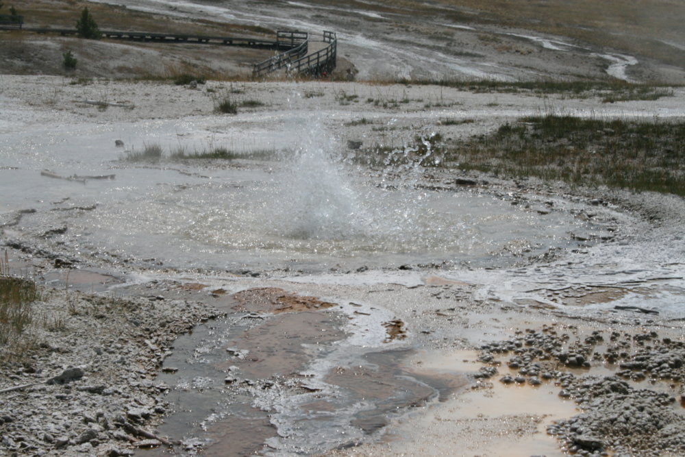 IMG_5597.JPG