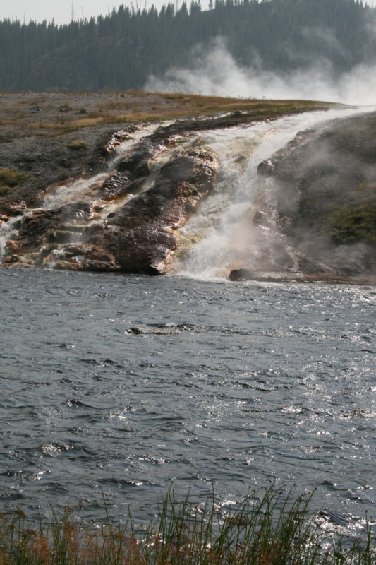 IMG_5667.JPG