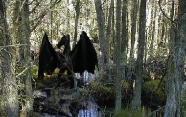 Jersey-devil-sighting-380x240.jpg
