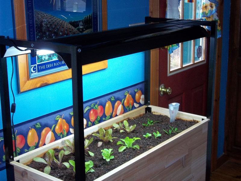 kitchen-garden01.jpg