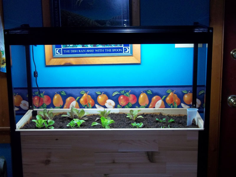 kitchen-garden02.jpg