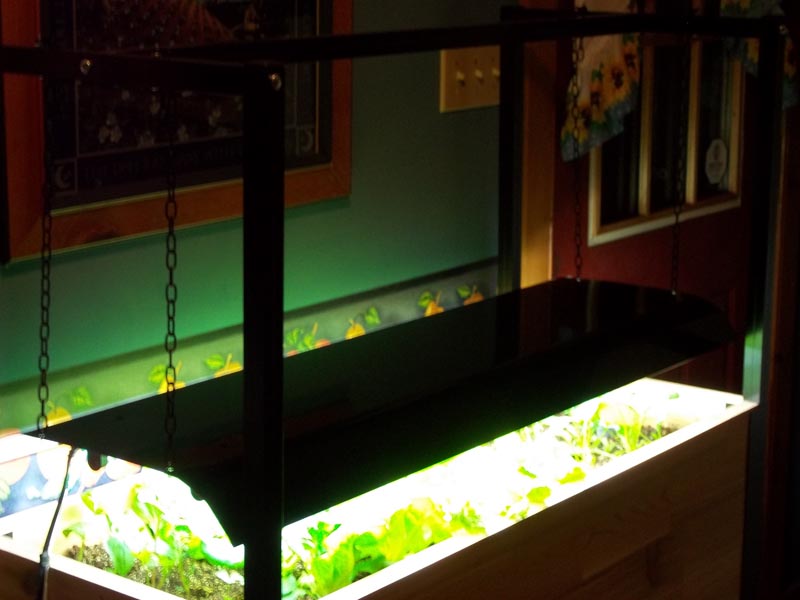 Kitchen-Garden05.jpg