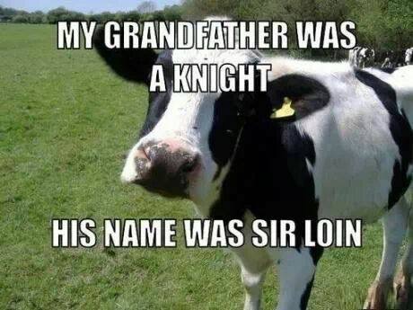 Knight-Sir-Loin-3028694296.jpg