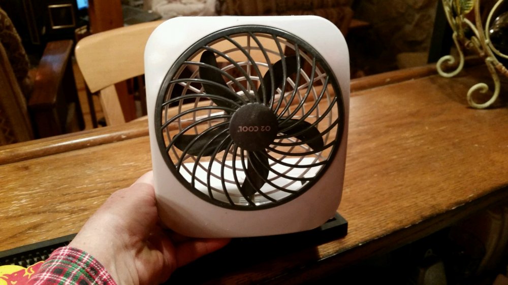 lil fan.jpg
