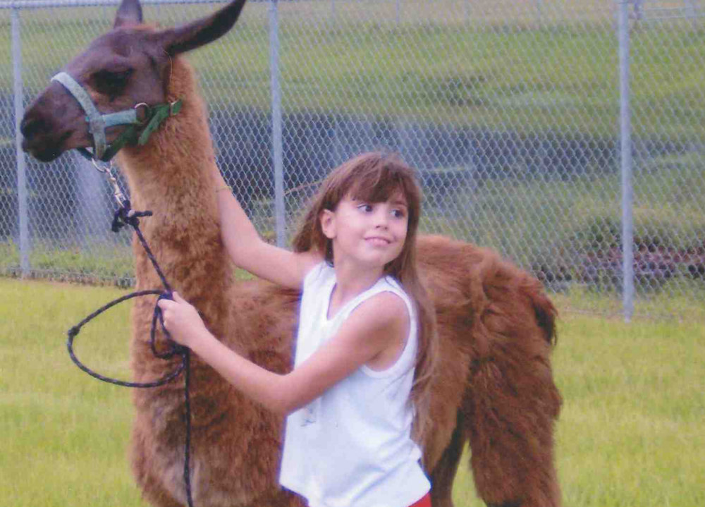 llama2.jpg