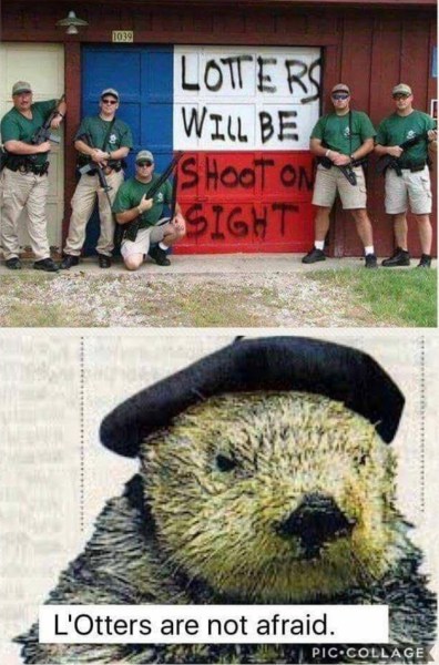 Lotts-Not-Afraid.jpeg