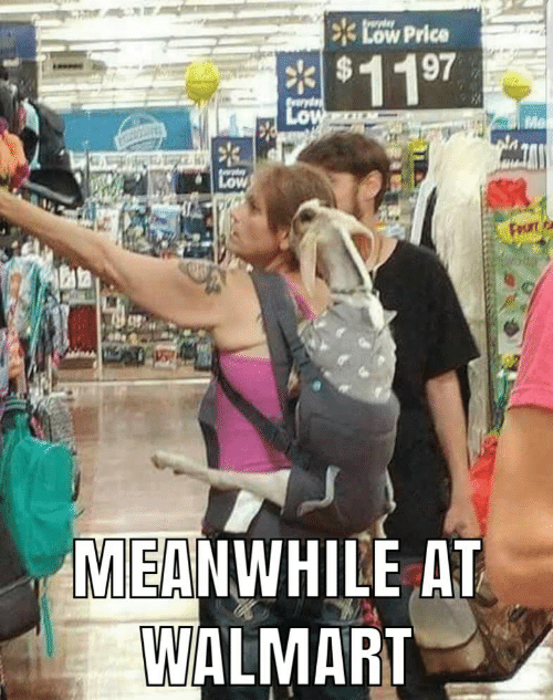 meanwhile-at-walmart-this-just-gets-my-goat-34502282~2.png