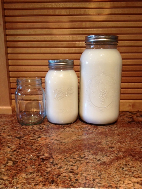 milk.jpg
