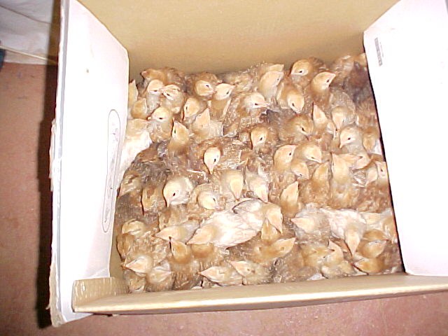 MVC-871F.JPG