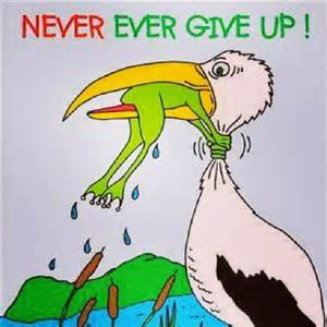 never give up.jpg