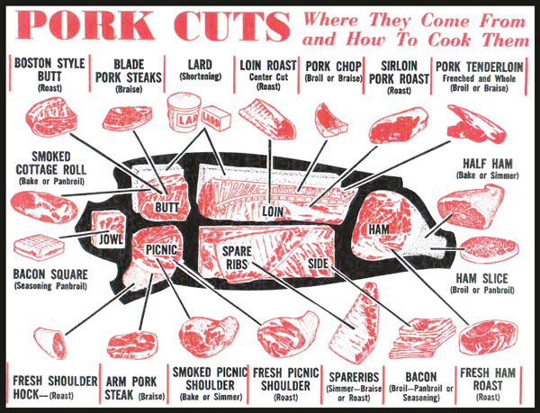 Oven-Pulled-Pork-BBQ_41_pork-cuts.jpg