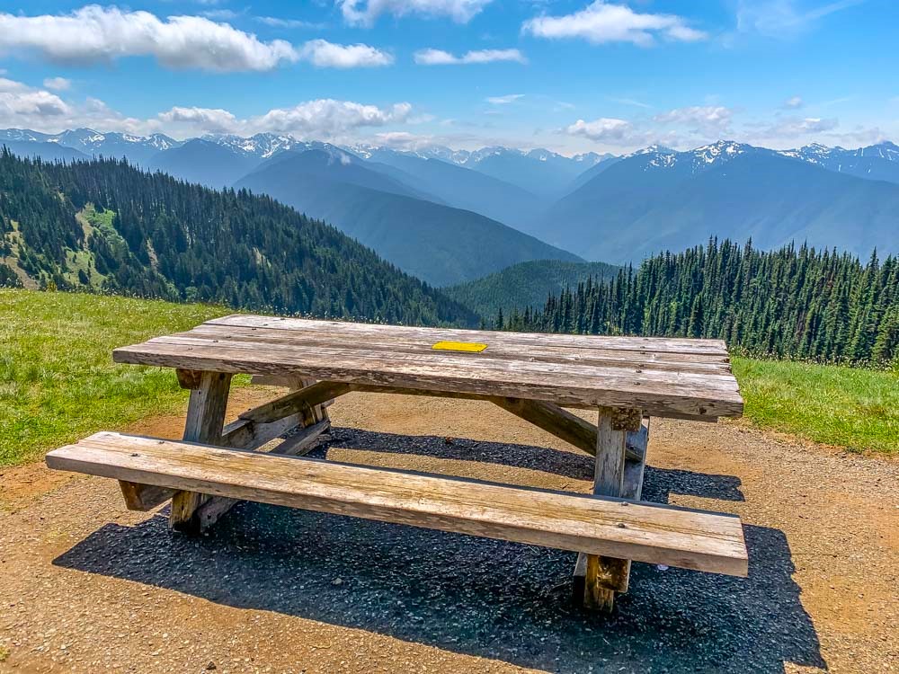 picnic-area.jpg
