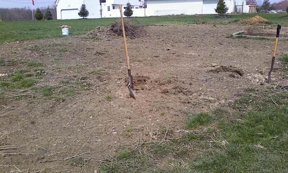 Pics04021219_1.jpg
