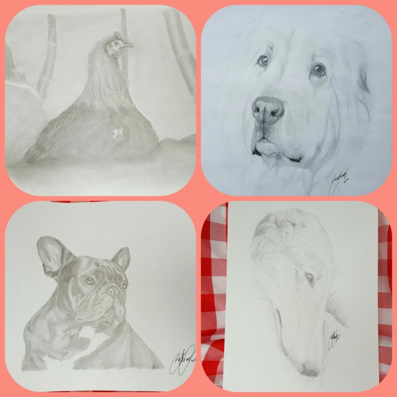 PicsArt_11-20-08.19.07.jpg