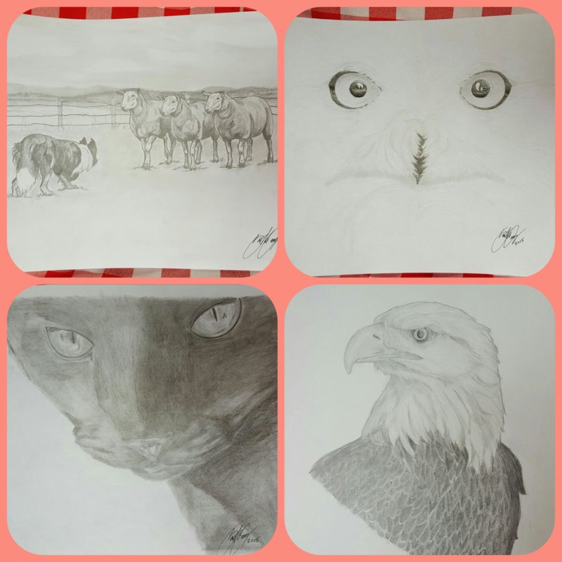 PicsArt_11-20-08.20.25.jpg