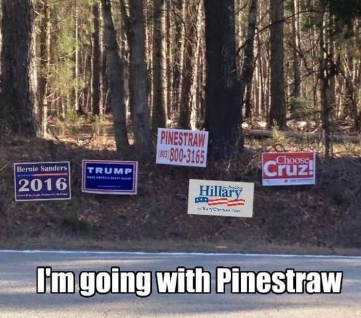 pine straw.jpg