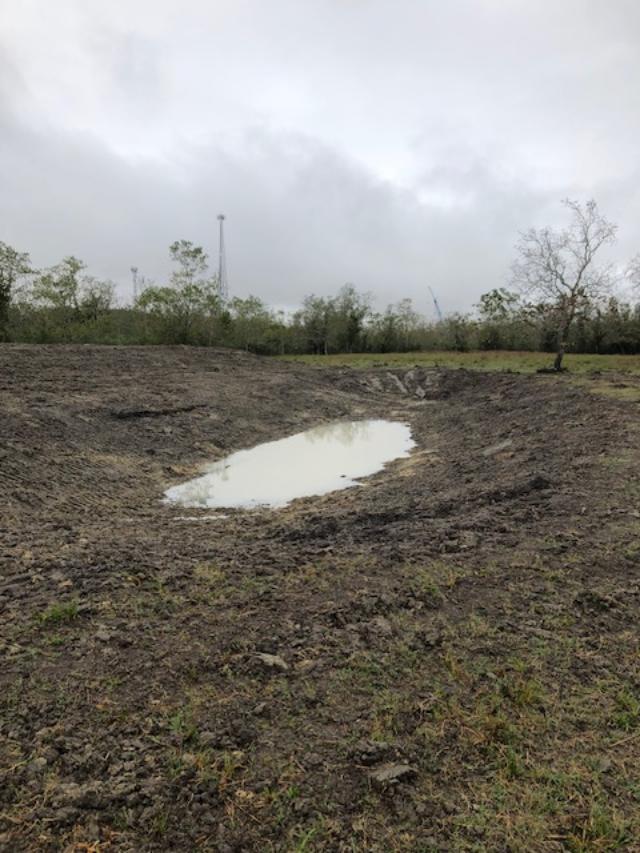 pond1.jpg