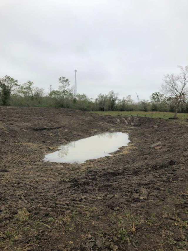 pond2.jpg