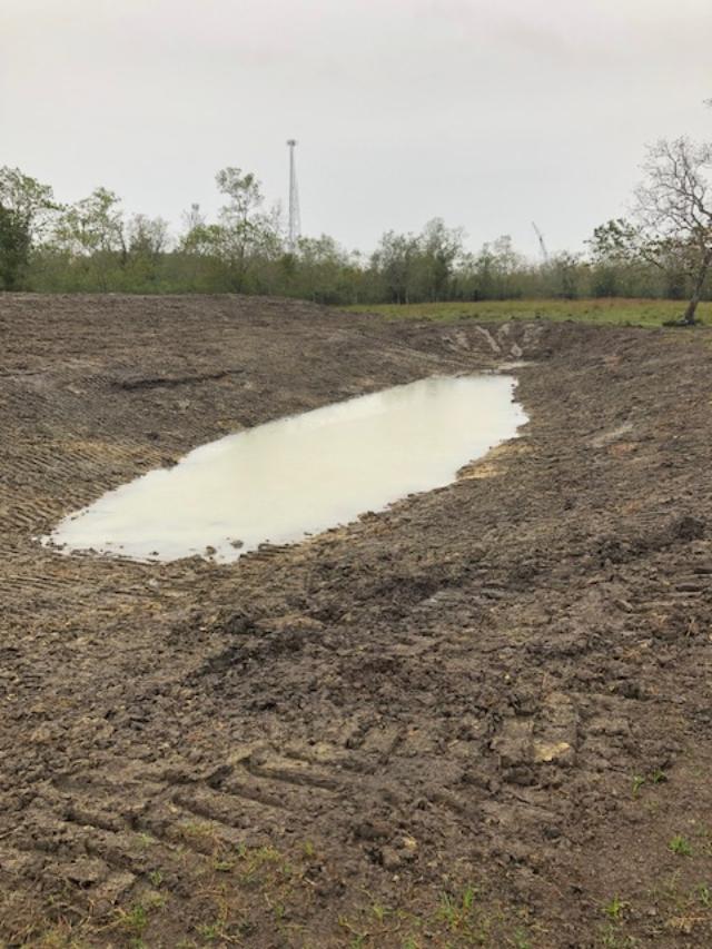 pond3.jpg