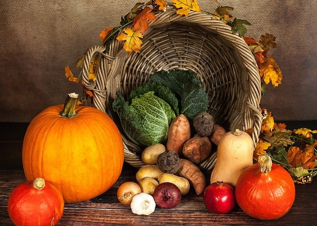 Fall Homestead Tasks You Need To Do