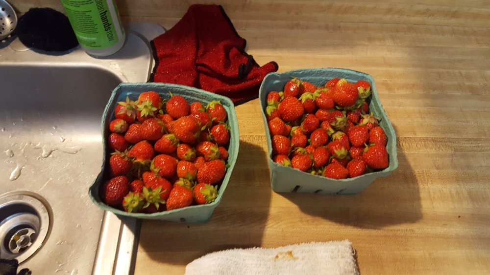 received_1929998817011730.jpeg