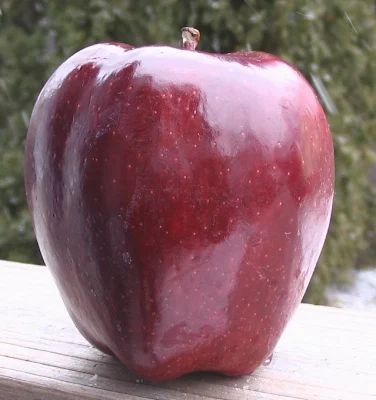 red+delicious.jpg