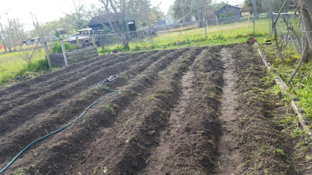 Scott's Garden.jpeg