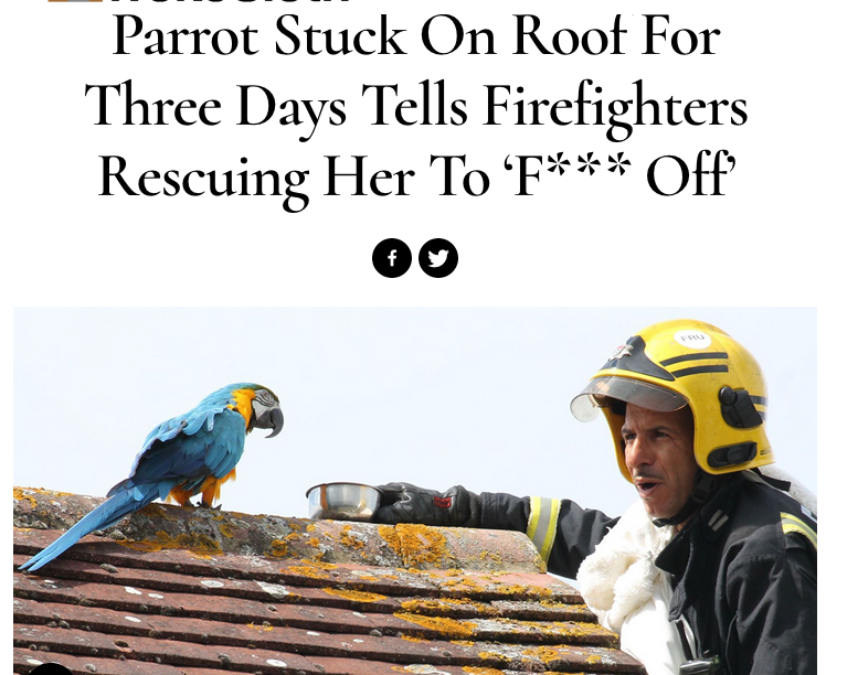 Screen Shot 2018-08-18 at 13.23.58.png