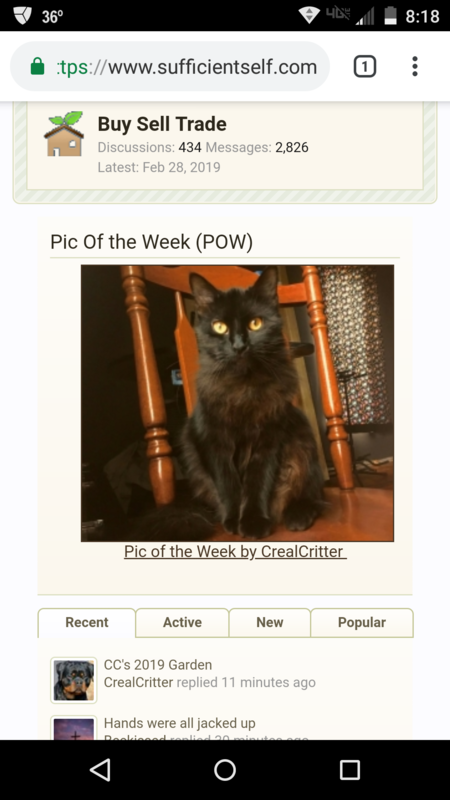 Screenshot_2019-03-07-20-18-23.png