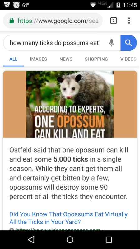 Screenshot_2019-05-20-23-45-43.png