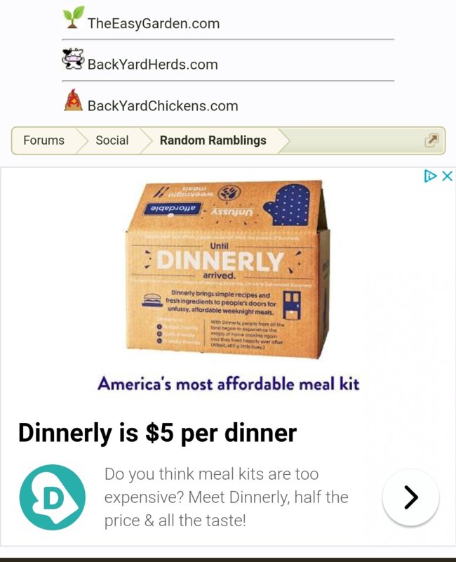 Screenshot_20190304-204019_Chrome.jpg