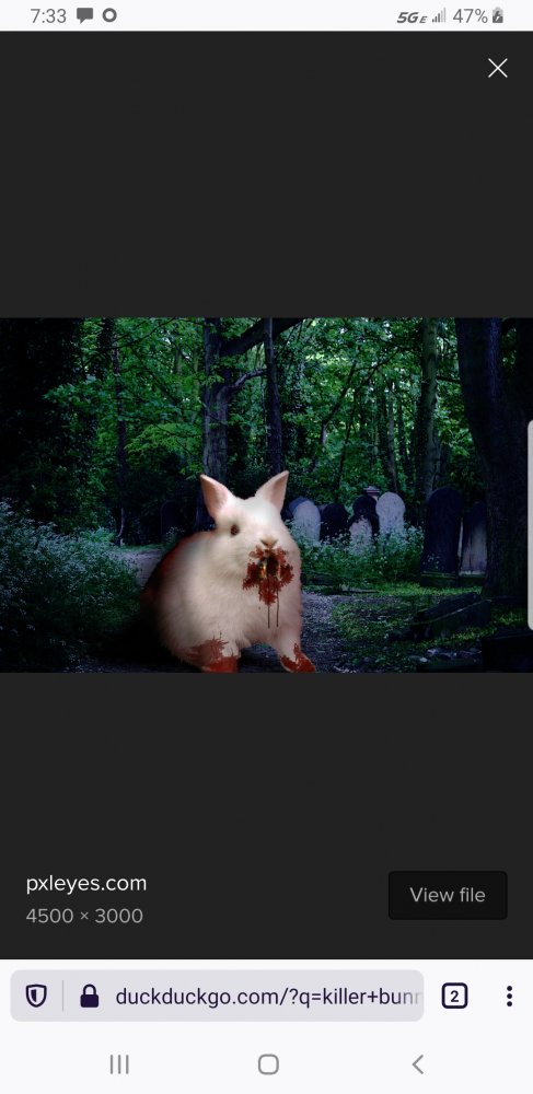 Screenshot_20201016-193316_Firefox.jpg