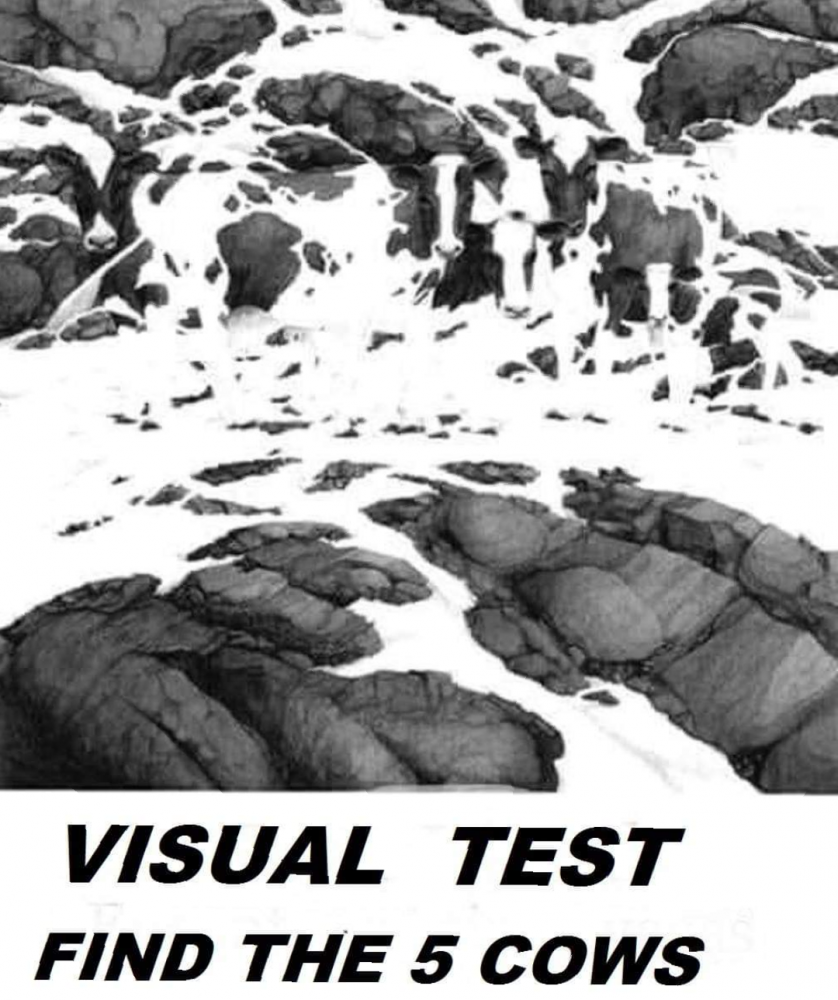 Screenshot_20201027-201242~2.png