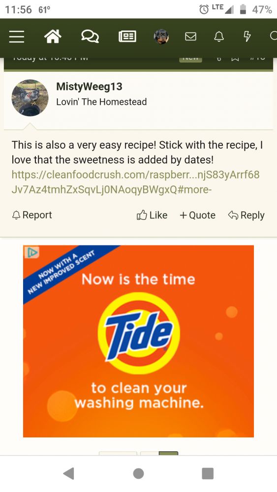 Screenshot_20201120-235617.png