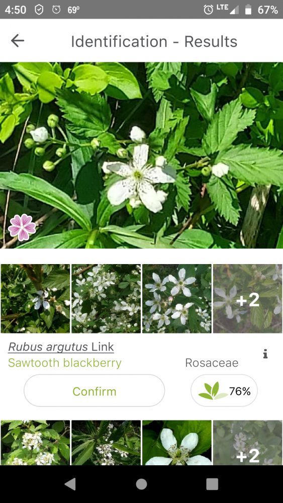 Screenshot_20210507-165022.png