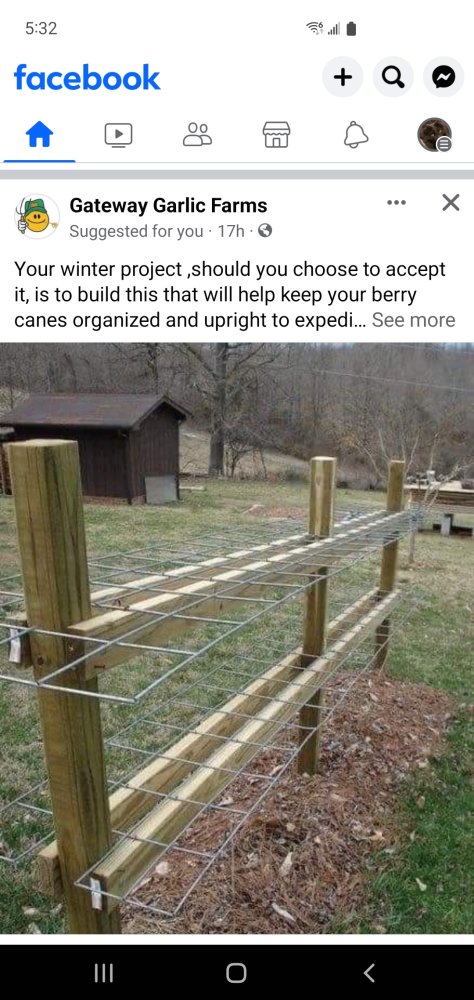 Screenshot_20231128-053209_Facebook.jpg